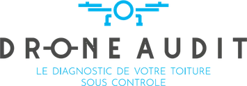 Drone Audit