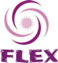 Flex Services